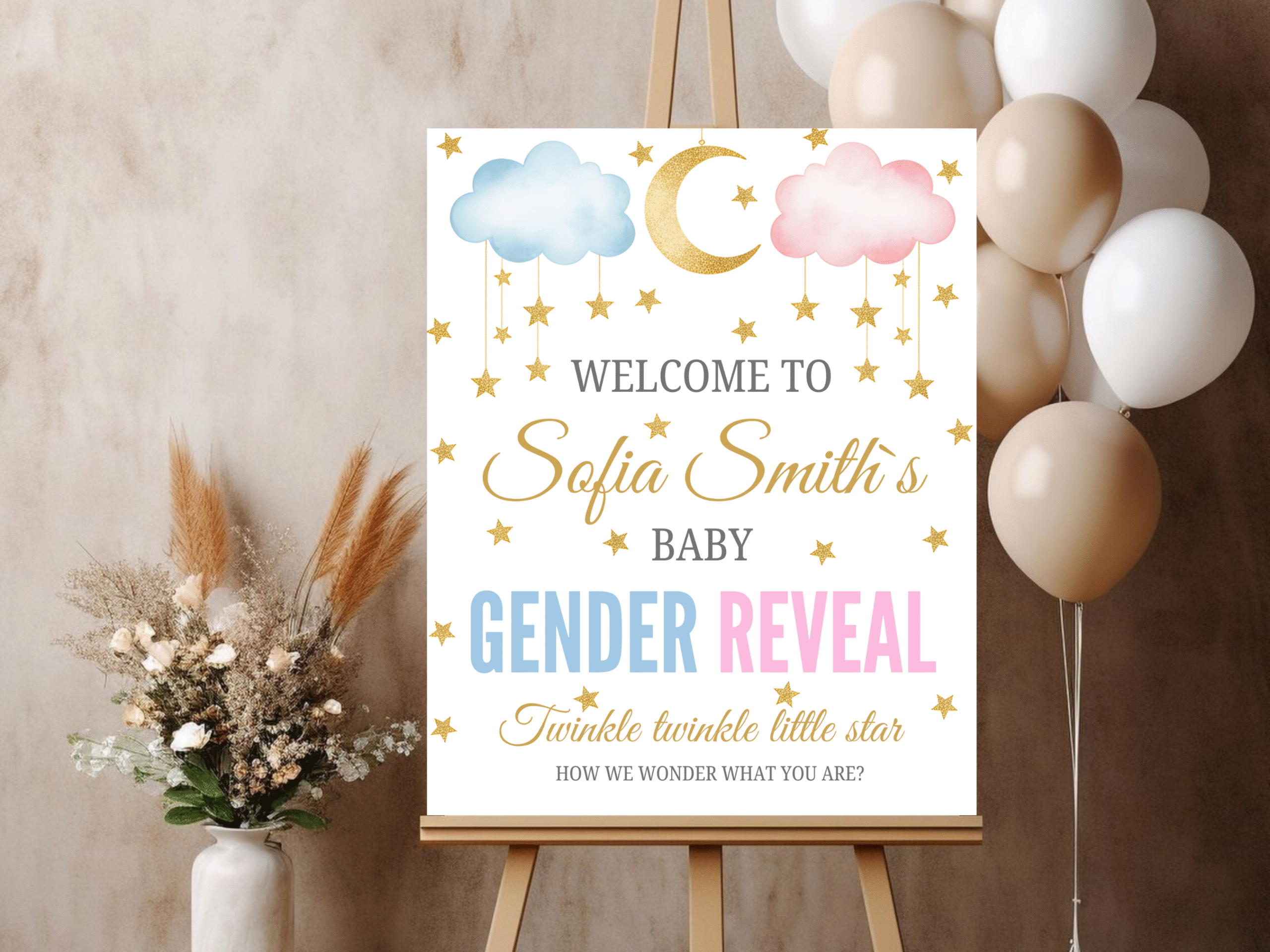 Gender Reveal Welcome Sign